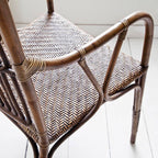 Duke Rattan Arm Chair (Set of 2)